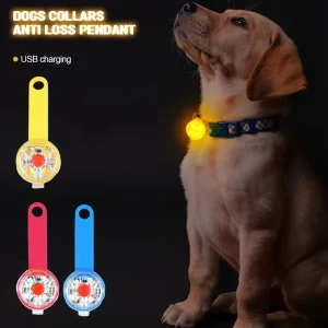 Pendentif rechargeable pour collier pour animal de compagnie (1 pièce)