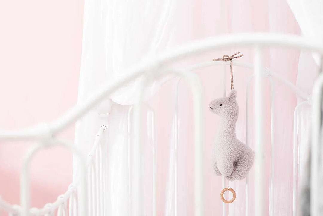 Jollein - Muziekhanger Lama – Image 4